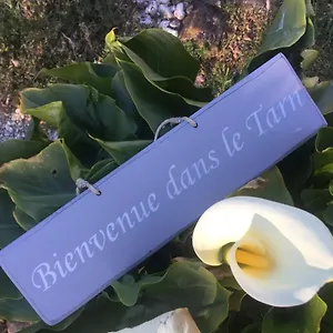  Hébergement de vacances Le Brensol France